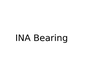 INA Bearing